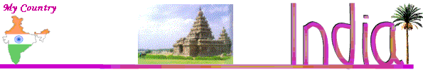 india1bar.gif